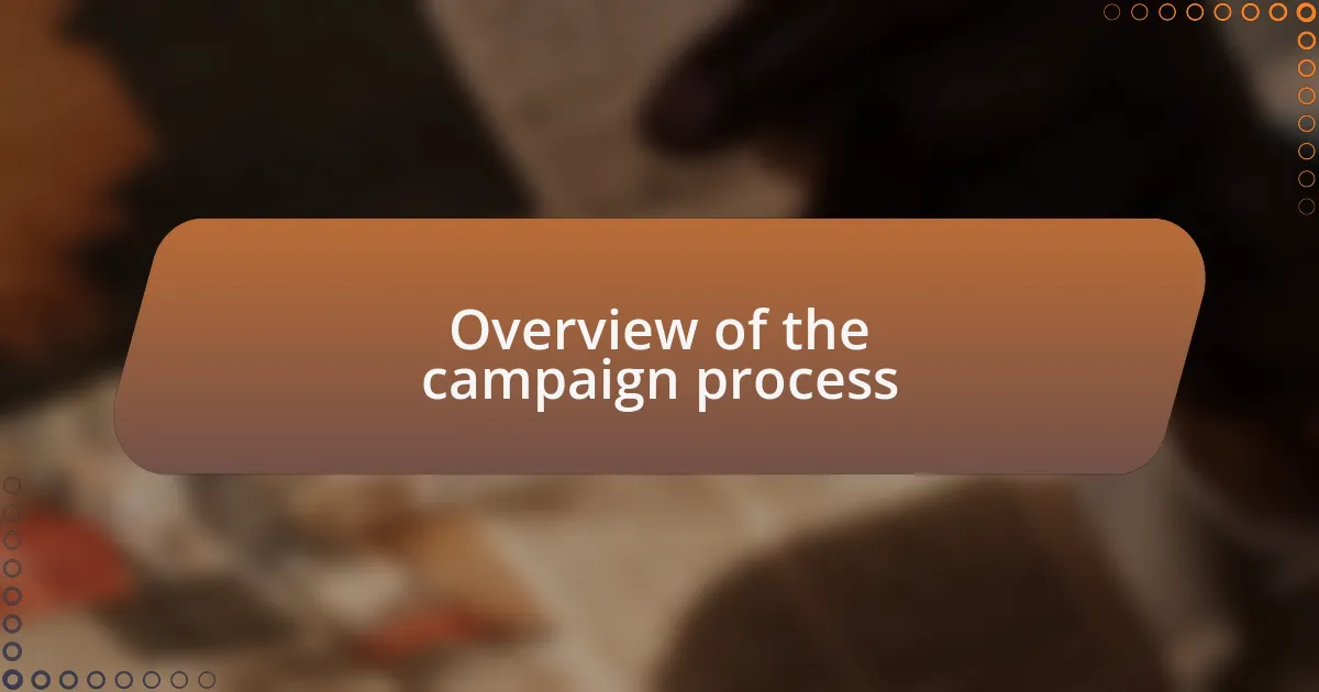 Overview of the campaign process