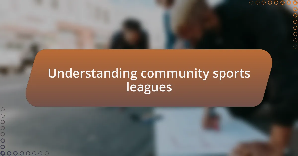 Understanding community sports leagues